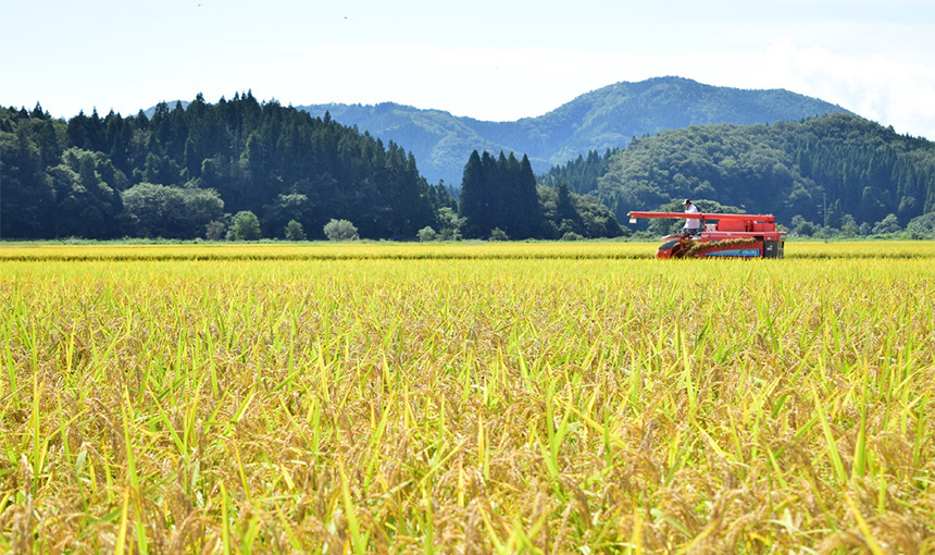お米のこだわり
