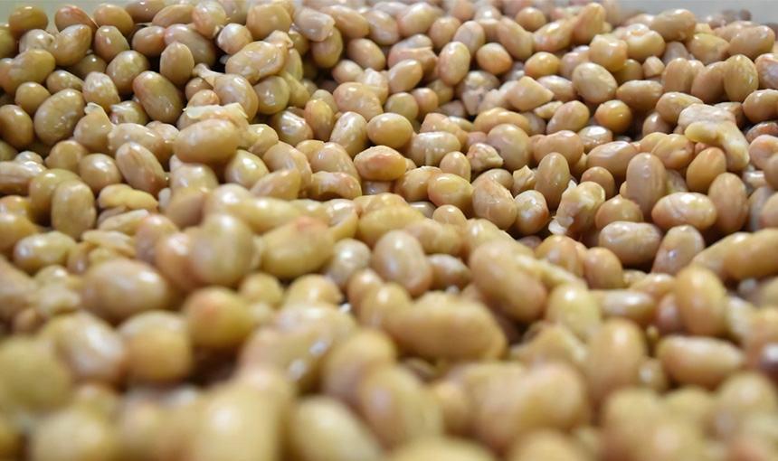 国産大豆100%使用