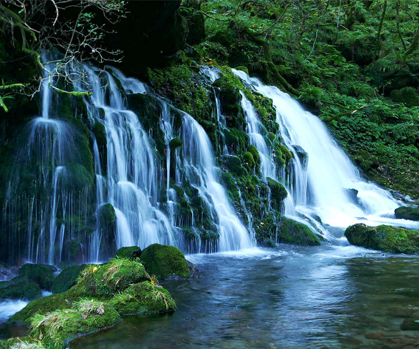 醸造に適した気候風土